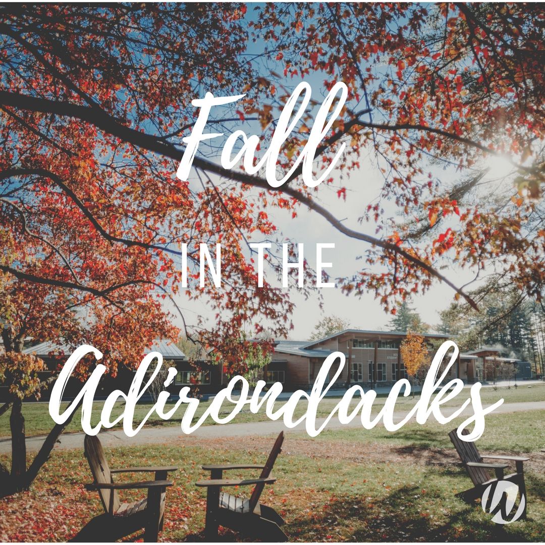 wordoflife's tweet photo. The heavens declare the Glory of God; the skies proclaim the work of His hands - Psalm 19:1 #wolqt #fallintheadk https://t.co/Xor3O6sub7
