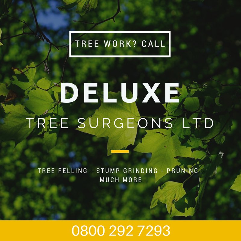 DeluxeTree's tweet image. Could you give us a retweet to get the word out? #northeast #treesurgeon #thisisdurham #sunderland