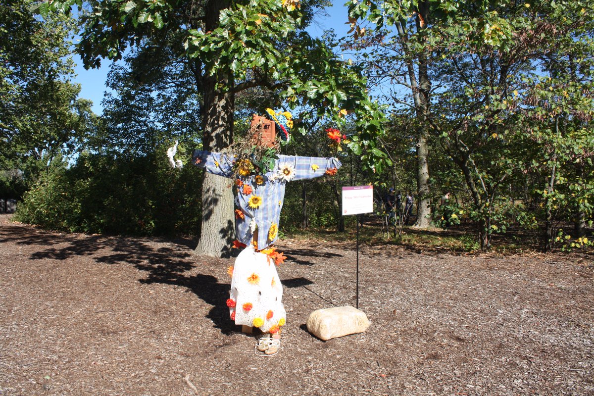 Momsandkeyboard's tweet photo. Scarecrow fest, Boo! at the Zoo, trick-or-treating &amp; more fall fun this weekend in #Chicago suburbs https://t.co/8eIGQNlNCd @chicagobotanic https://t.co/yKw1cb4oDZ
