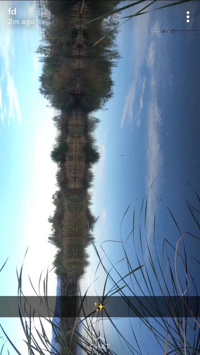 fllenzadeliu's tweet photo. #Everydayposts #fd https://t.co/1zeR3BdT9s