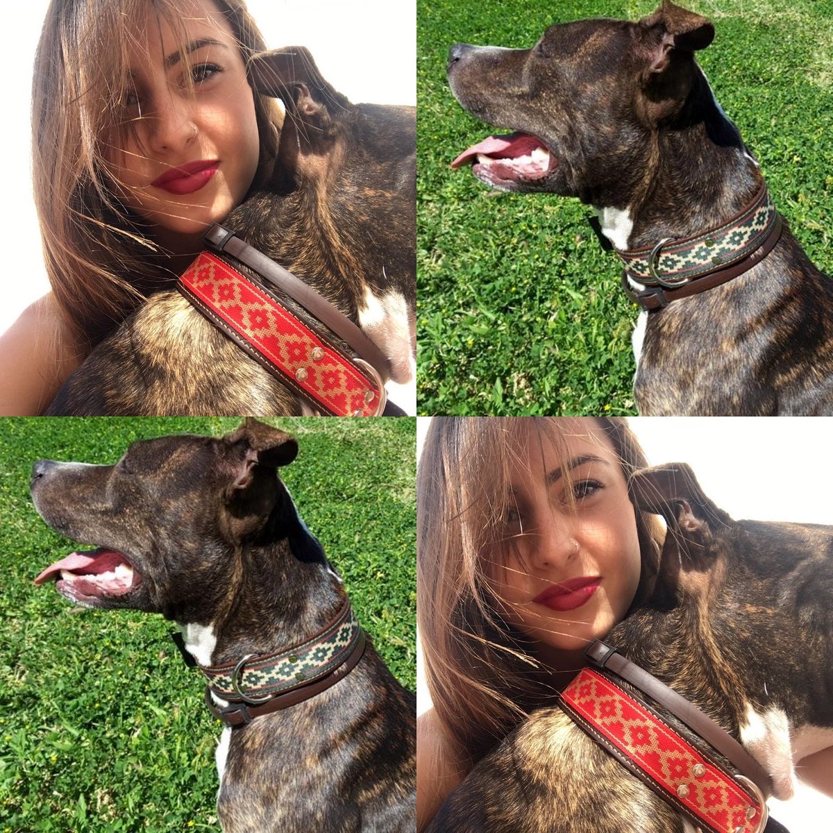 Maximo_Demaria's tweet photo. QUIERO UNO AMO! 🐕
Asi quedan nuestros collares de perro guarda pampa! 
Si aun no tienes el tuyo, haz tu medido ya en https://t.co/cRMprJoJcC.

NUEVO! Ahora ya puedes hacer tu pedido por whatsapp 640 928 269. 📞📲

#collardeperro #dog #perro #accesorioperfecto #accesorioperros https://t.co/s8Y1TJiZMQ