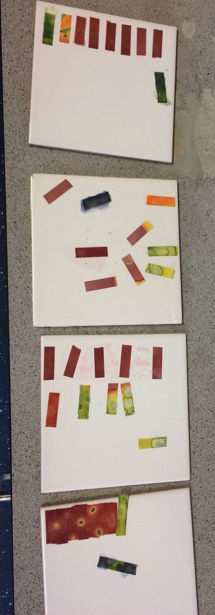 MrBhumbla's tweet photo. Looking at pH changes during neutralisation #corepractical with Yr10s and Yr11s during #chemistry @HollyfieldSci @hf_phoenix https://t.co/Daih2RuGKL