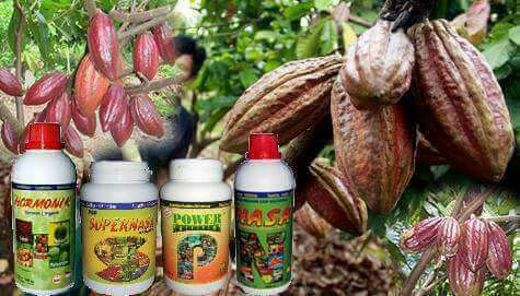 Dick  Nieng (@cintaduomus) on Twitter photo 