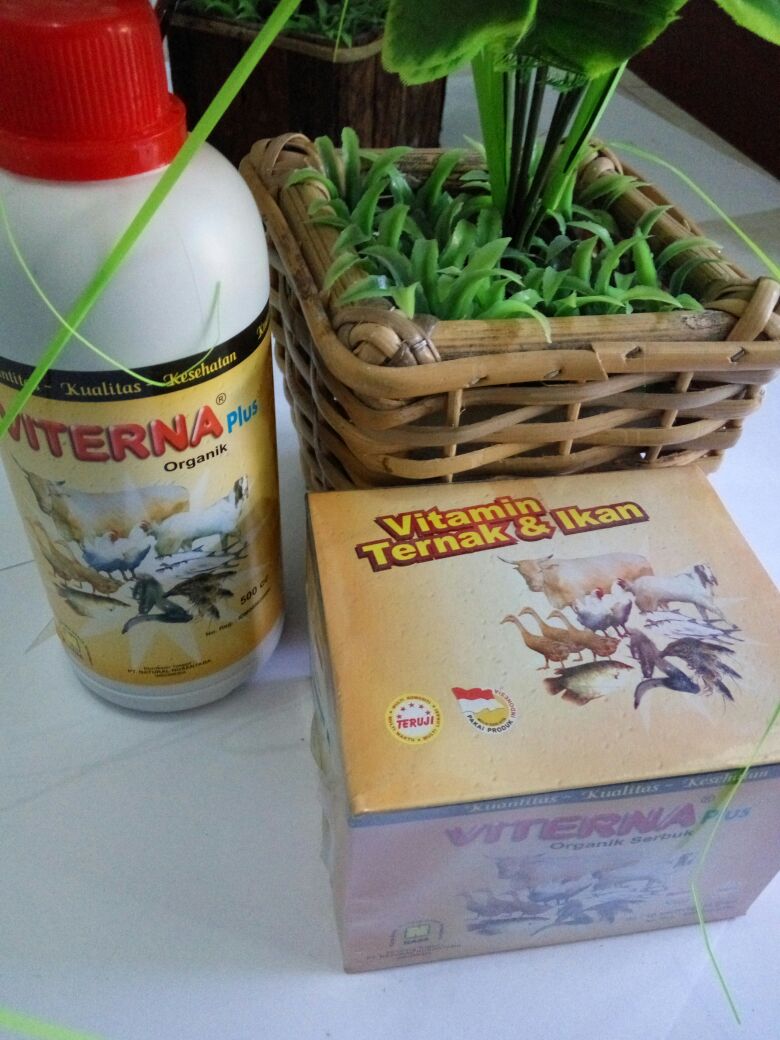 Dick  Nieng (@cintaduomus) on Twitter photo 