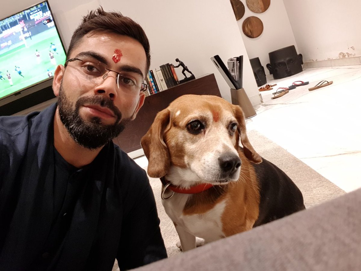 Image result for virat kohli dog