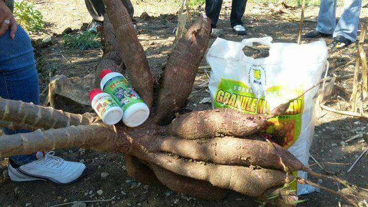 Dick  Nieng (@cintaduomus) on Twitter photo 