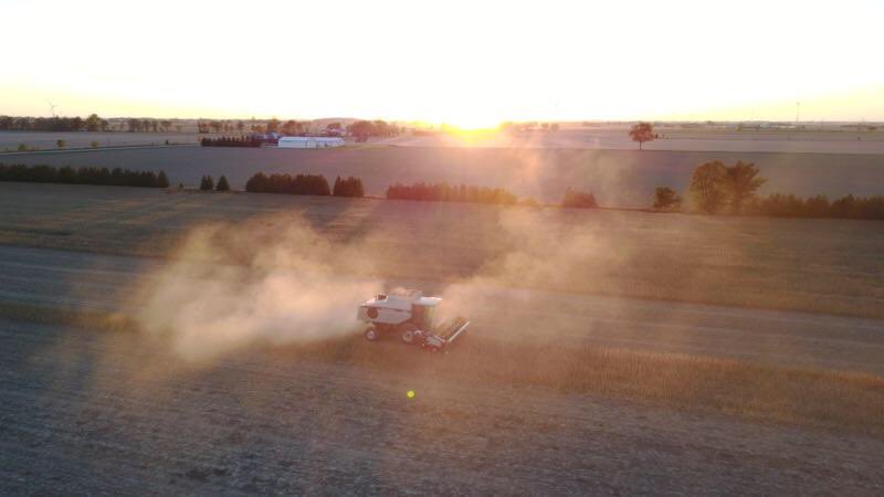 ChrisRoy00's tweet photo. @Sevita_PROSeeds 24X663N coming off last night around Stoney Point ππ» #ontag #harvest17 #abovetherest #FromTheGroundUp https://t.co/94RoXimVvD