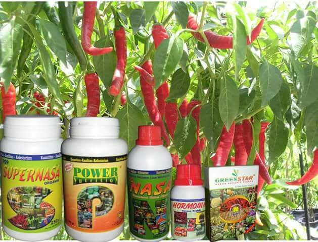 Dick  Nieng (@cintaduomus) on Twitter photo 