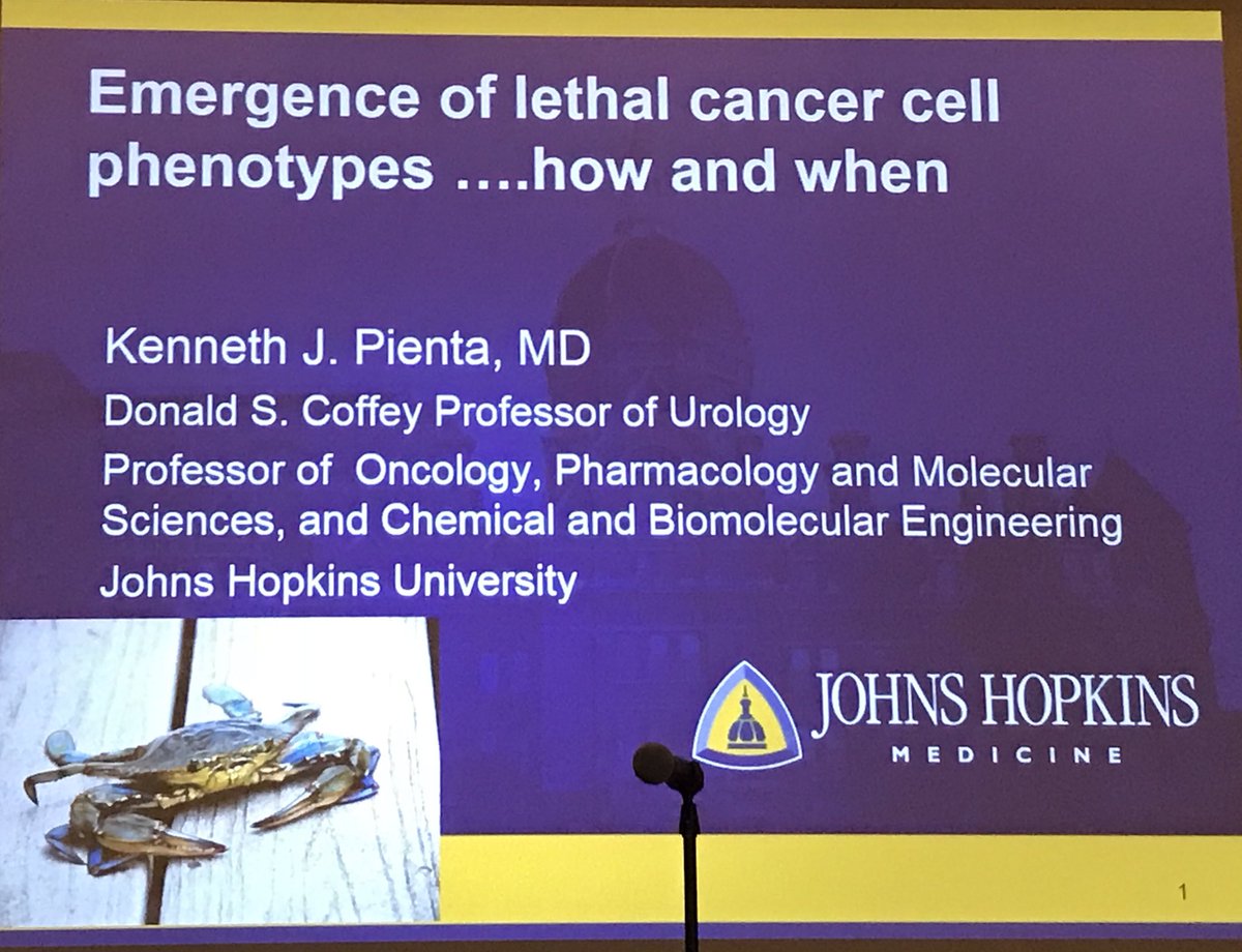 ara_anderson's tweet photo. Now prostate clinician & cancer ecology hero Ken Pienta: The emergence of lethal prostate cancer in engineered microenvironmental #2017PSON https://t.co/UmqYEcZFgR