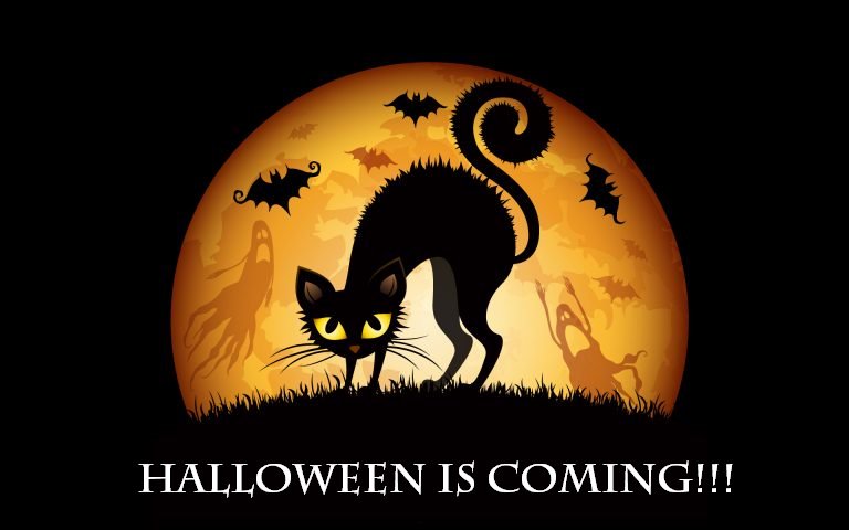 SeginusFarms's tweet photo. Planning a Halloween party? Visit our website https://t.co/vQSlSNRsq3 &amp; get 10% off by using "HALLO10" code on any product! #tastethechange https://t.co/XkWNfdMmZr