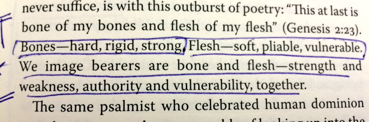 annarobbo1's tweet photo. We image bearers are bone & flesh - strength & weakness, authority & vulnerability, together #StrongAndWeak @ahc https://t.co/9uYt1eUQAx