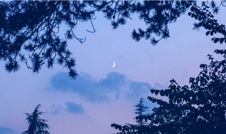 ClearHappyFit's tweet photo. “The urge to merge is strong all week long—for business, creative coupling and romantic affairs.” https://t.co/jOtHBW0e2I  #newmoon #libra https://t.co/THDzPm2Eqt