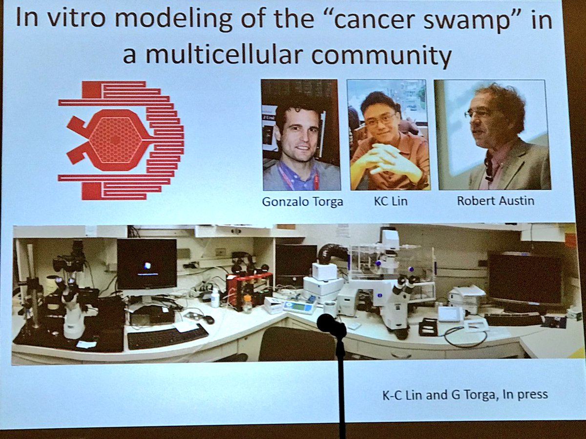 ara_anderson's tweet photo. Pienta discuss his collaboration with "crazy uncle Bob" Austin on the Cancer Swamp also known as the death galaxy! #2017PSON https://t.co/tSvGDfyrlu