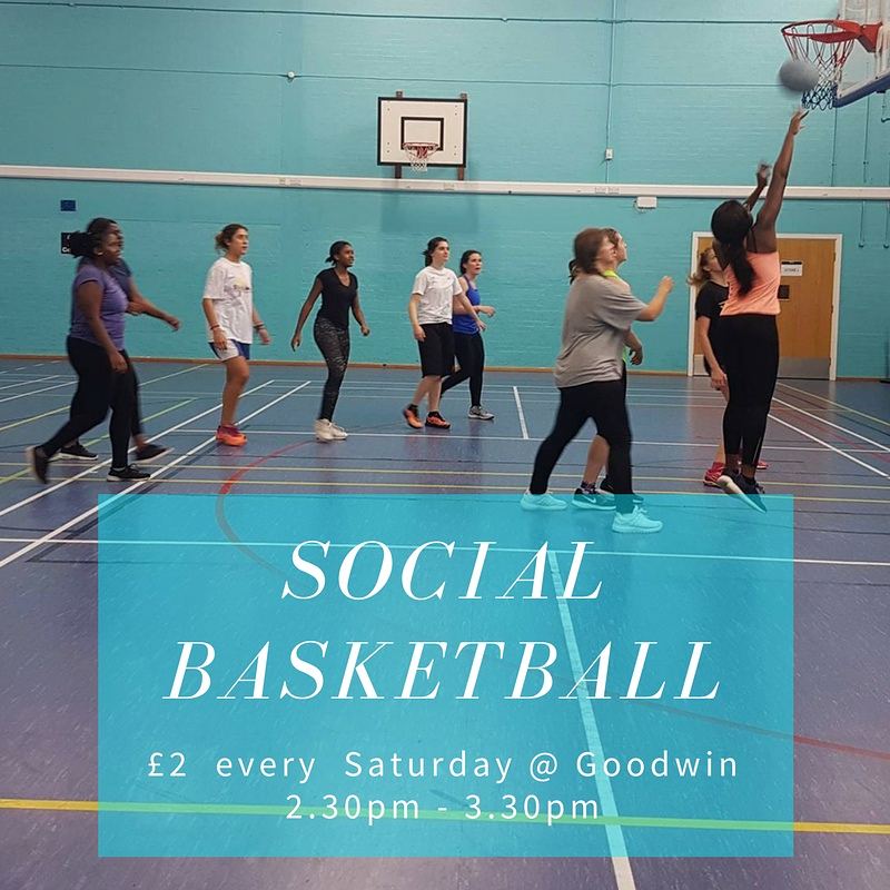 Sheff Women's Bball tweet media