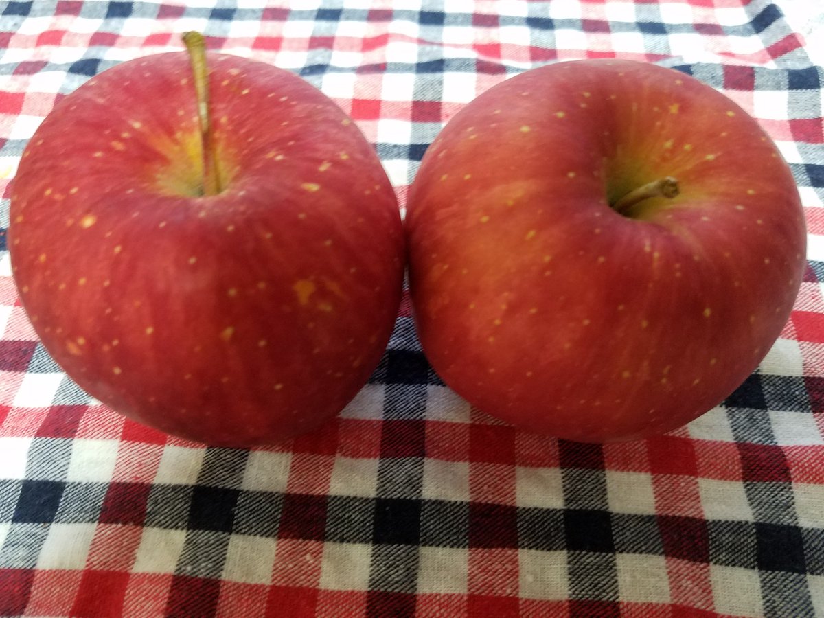 blueaiao's tweet photo. 🍎リンゴが美味しい
　季節になりました😋　　
今朝の果物　　
#bn847 https://t.co/oHJ9k6FK7p