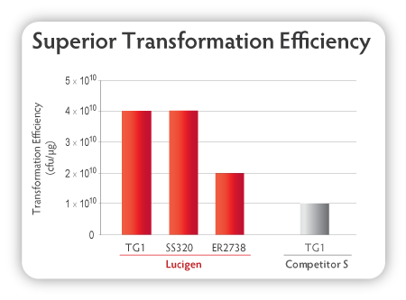 LucigenCorp's tweet photo. Highest efficiency #compcells available for phage display mean efficient use of your time! Learn more> https://t.co/F9ctw0DJ2R https://t.co/lQSJO5LNqw