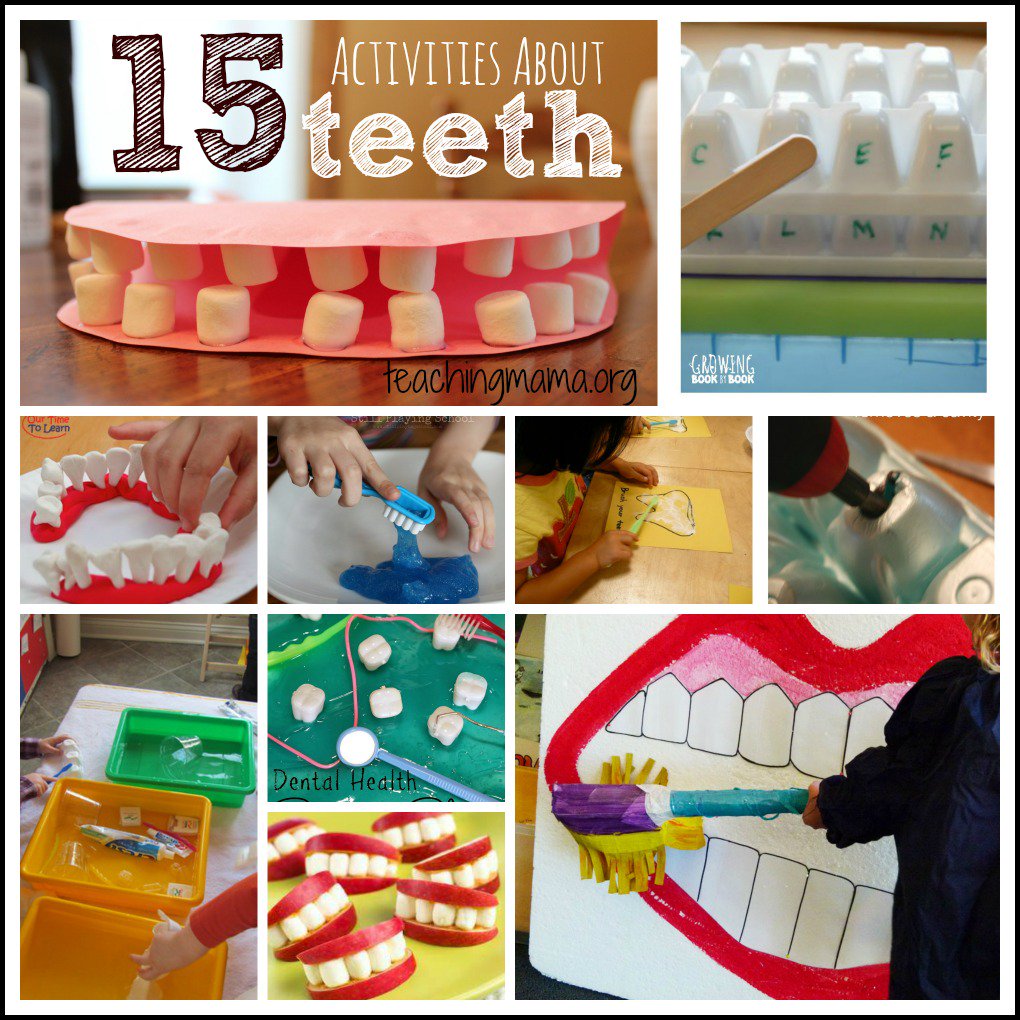 TreeDiscovery's tweet image. Want to teach your kids the importance of dental care? These fun crafts and games can help: bit.ly/2gFrKJw