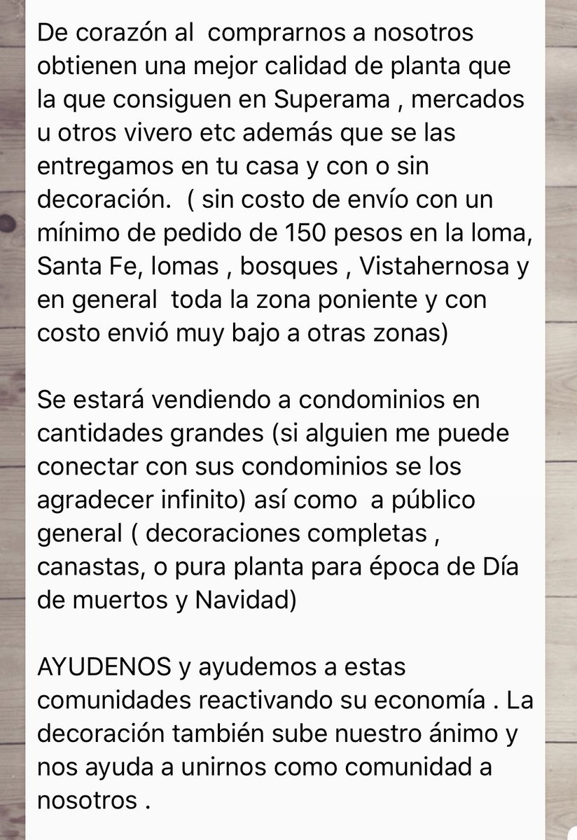 ReginaBlandon's tweet photo. Ayudemos a San Gregorio. Dan factura, te llevan el cempasúchil a tu casa... está👌🏼👏🏼
(También habrá noche buenas en Navidad) 😁 https://t.co/cgFtEnX7VQ