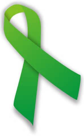 Giuliano_Spe's tweet photo. Luchemos juntos contra el cancer de ranas 🐸 https://t.co/ynPp0U0E7O