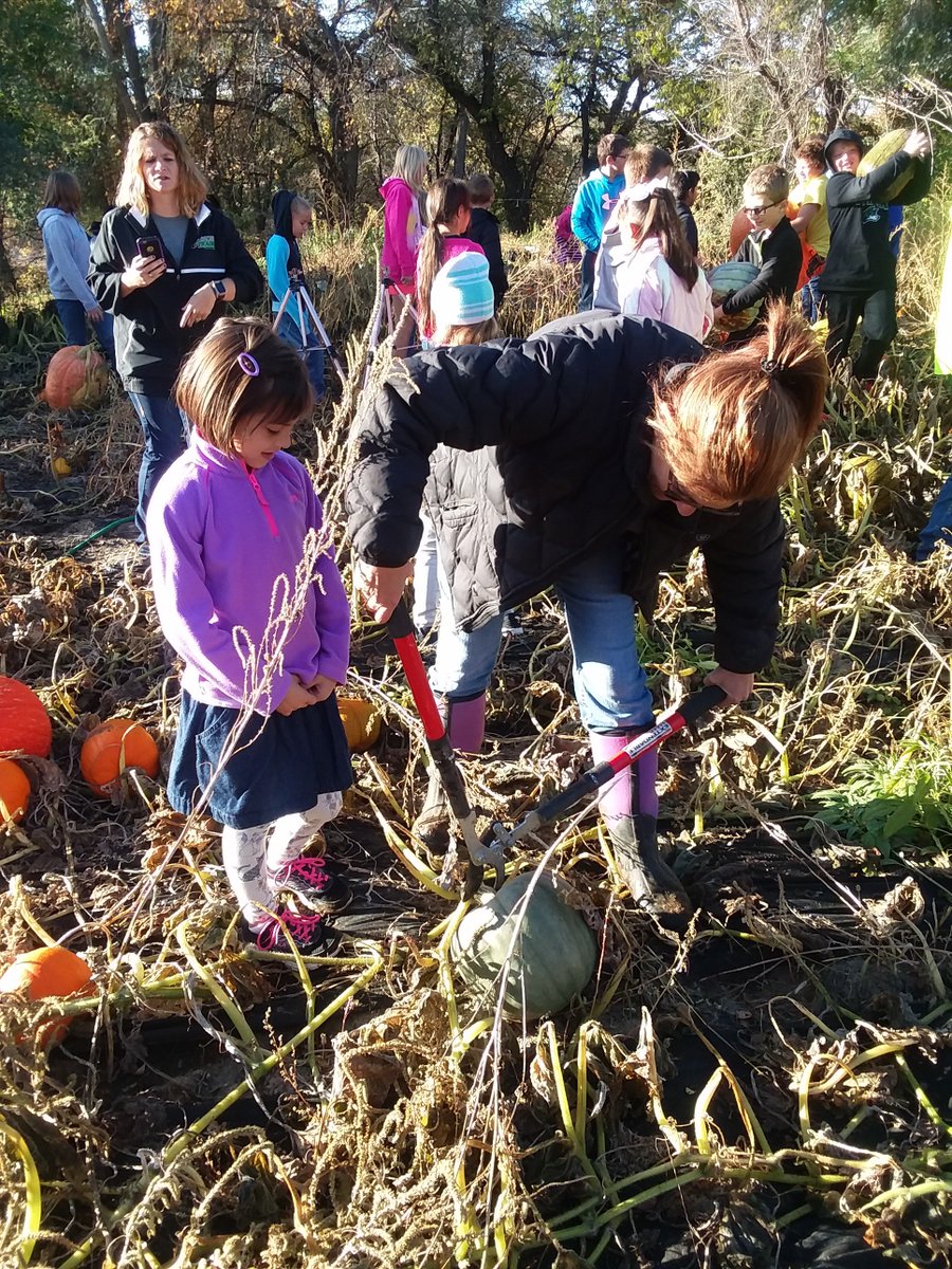 HCPublicSchools's tweet photo. Our K-6th grade students got to pick pumpkins today! A big thank you to Jaycee and Michelle! #elementaryadventures #fallfun https://t.co/8gusTNFbwp