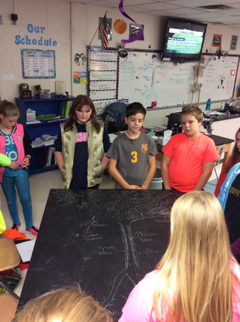 DebbieGatrel's tweet photo. Photosynthesis chalk talk! #ESMSBestYearEver https://t.co/9mzL9vkHHk