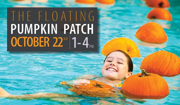 RSVL_Parks's tweet photo. Only a few spots left for #FloatingPumpkinPatch this weekend! Call 772-PLAY to register. #RosevilleEvents https://t.co/RBmbzWajjT https://t.co/ImHVoatfBc