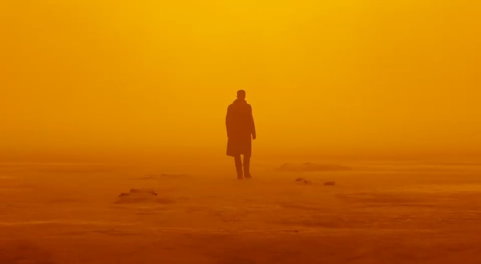 It took a lot of work to create one of the most important connections between Blade Runner 2049 and the original.
gizmo.do/CYHTDH1