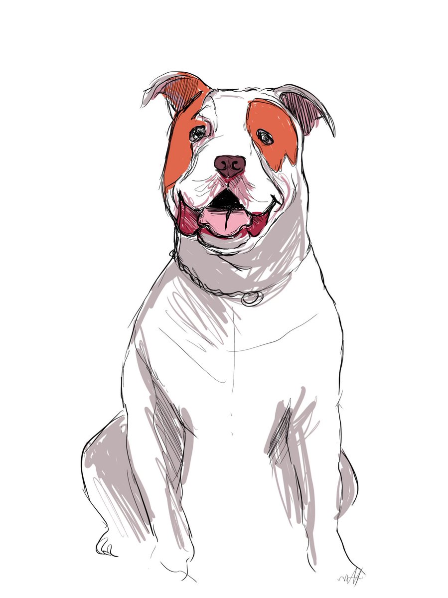 KanaAiysoublood's tweet photo. Inktober 18 #inktober18 #inktober#2017 #inktober #friendsdog https://t.co/VSAn5SRELr