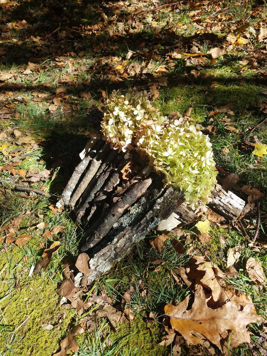 hablek's tweet photo. @HES5thgrade nature art https://t.co/f6iaHSw6wY