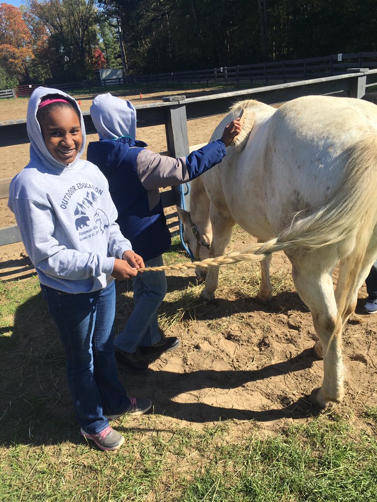 TheGreatMrDaley's tweet photo. Camp #Eberheart Day 1. Activity 1: horse science @JoelleMulhearn @MrsRobertsSmith @FlossmoorHills #horsingaround https://t.co/kwbtXgkohG