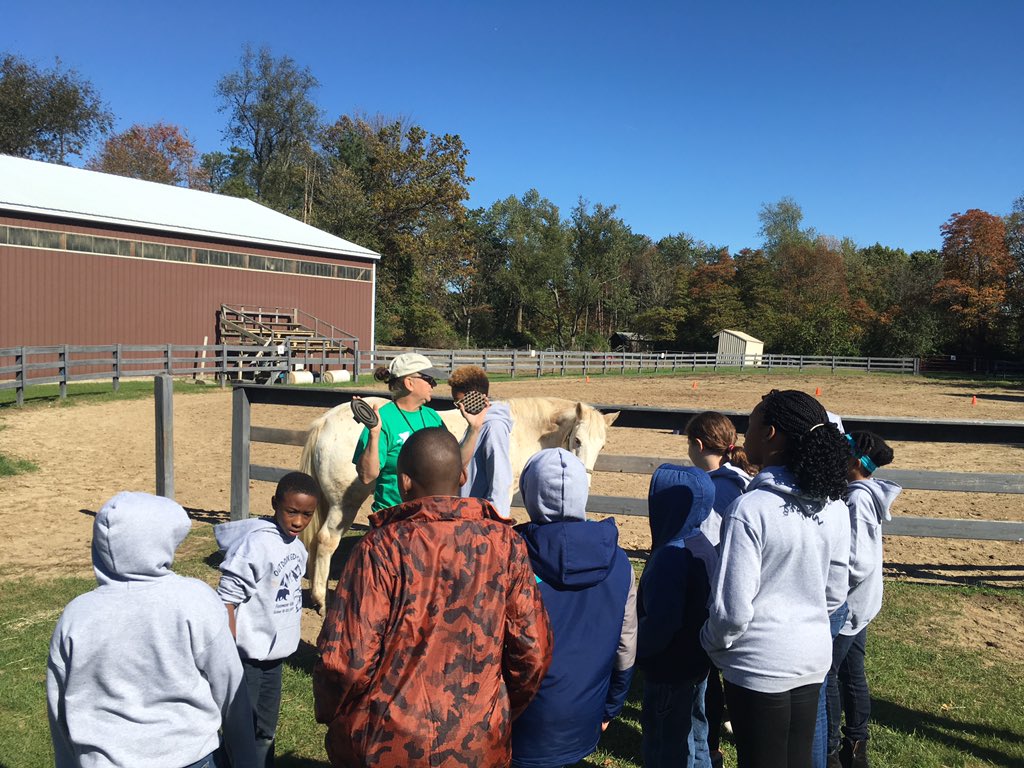 TheGreatMrDaley's tweet photo. Camp #Eberheart Day 1. Activity 1: horse science @JoelleMulhearn @MrsRobertsSmith @FlossmoorHills #horsingaround https://t.co/kwbtXgkohG