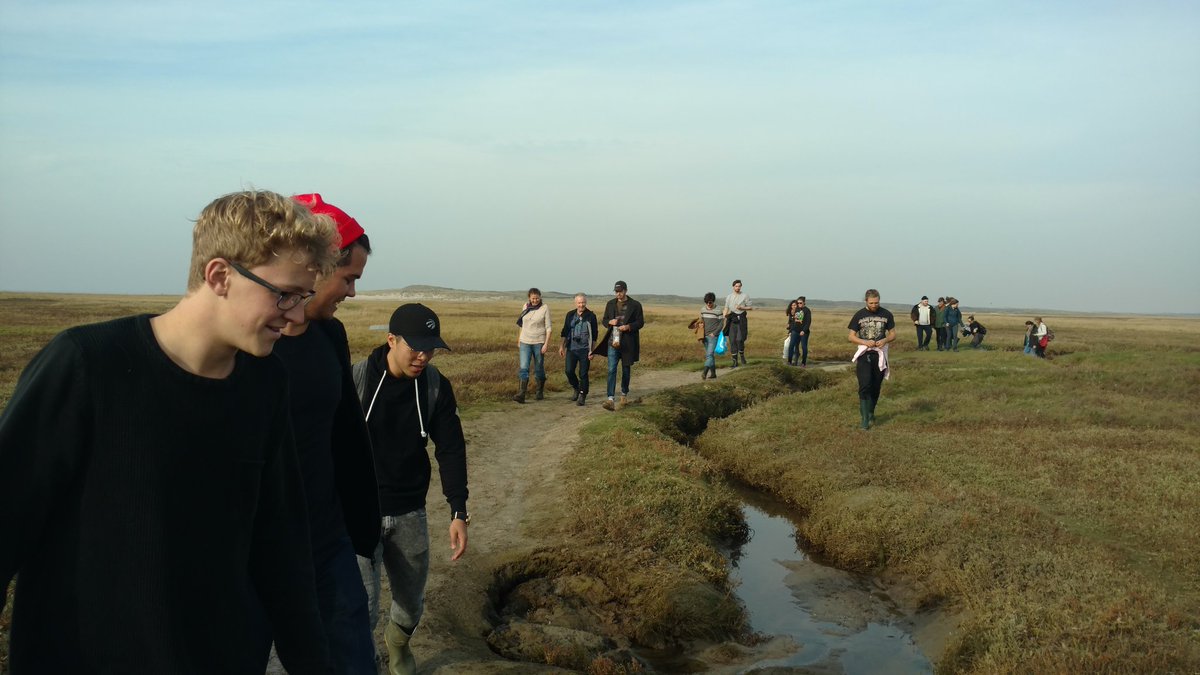 HenkHalo's tweet photo. Fieldwork with Amsterdam students investigating coastal microbial mats. #Texel #UVA #microbiology #cyanobacteria https://t.co/NMZcTzBmQl