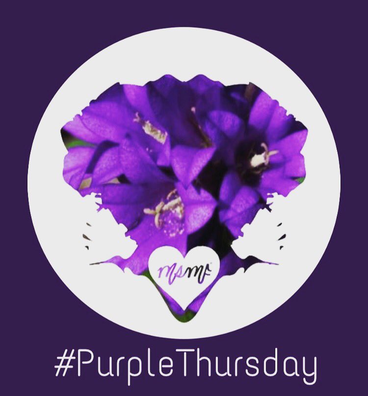 MySisMyFriends's tweet photo. #PurpleThursday...We stand together to honor victims & survivors of domestic violence. #SpreadLoveDC #DCCADV #DVAM2017 #TeamMSMF https://t.co/6YbA578Zel