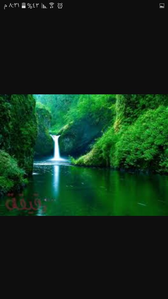 B5NVXgn9Bt4B4te's tweet photo. “لا تسعى لتبرير نيتك ان كنت تراها واضحه جداً فالبعض يمشي و عقولهم تجري خلفهم للأسف !” https://t.co/y2BCBvE60V