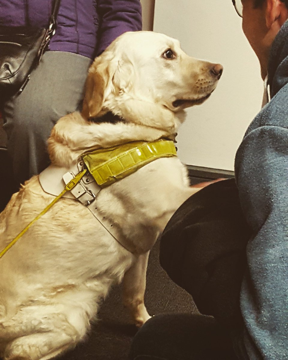 Thank you to everyone who attended the intro talk today and came to meet Rambles!