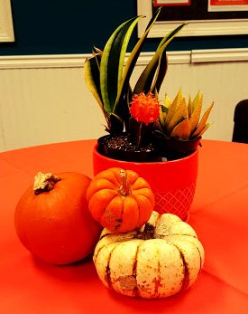 FullCircleEvent's tweet image. seasonal decorating at it's finest! #orangeonorange #branding #borrowedfromthegardendepartment