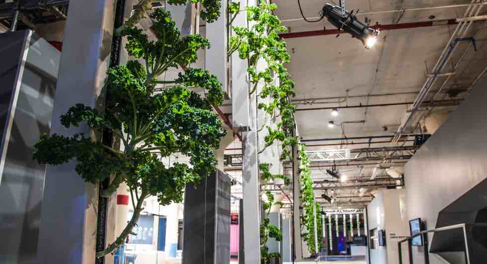 Matte PR tweet media