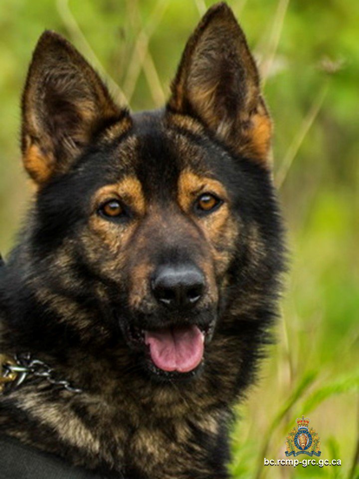 Great work Faulk! You definitely deserve to be the face for #TongueOutThursday  mpnt.me/1ug83 https://t.co/POrmHypRjQ