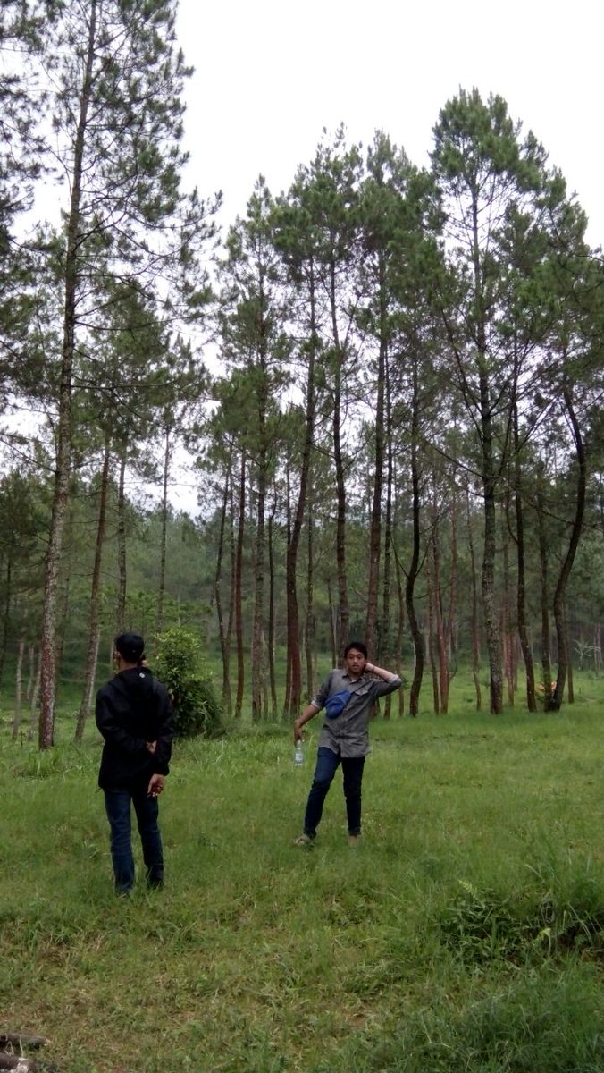 Binggung Dengan Kegiatan #crittt