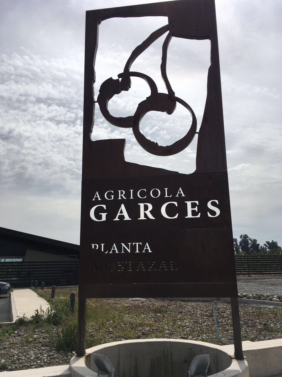 InveranCorp's tweet photo. Trabajando junto a @agricolagarces en cerezos 🍒#bioprotec #biotech https://t.co/b4yAYjX6KZ