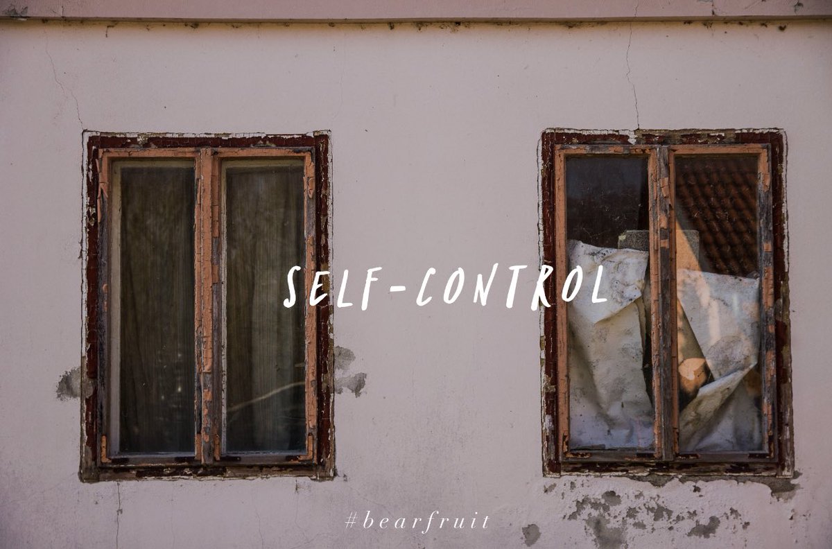 Rooted_Chicago's tweet image. A person without self-control is like a house with its doors and windows knocked out. Time for some reconstruction? #prov25:28 #bearfruit