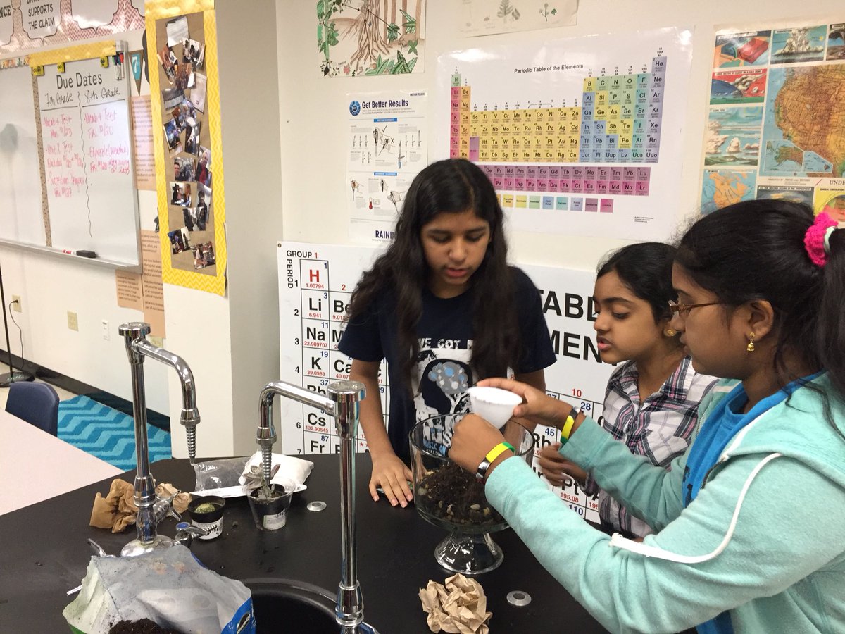 hillhollly's tweet photo. What’s the best way to learn about microhabitats? By building Terrariums of course! @Killian_MS #killianmustangs #terrariumtime https://t.co/o8pqx8nUZK