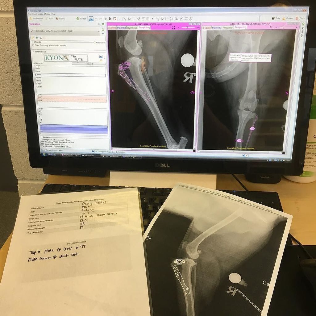 charlyerob's tweet photo. TTA Planning - My TTA planning is meticulous! Tibial tuberosity advancement is the technique we use to stabilise cruciate deficient stifles… https://t.co/BhIPmdfNjq