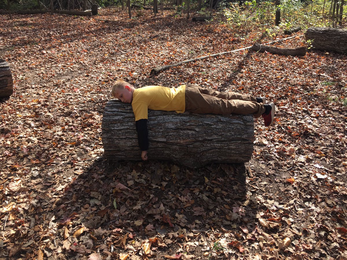 mrslapage_gedsb's tweet photo. Extinction from the survival game. 😂 #appsmill @BellviewBobcat https://t.co/XbPpFaOvi1