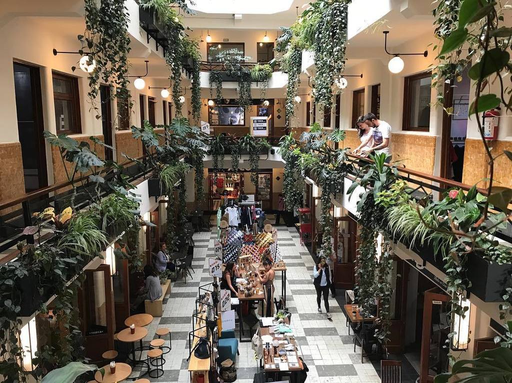 diseniamx's tweet photo. Segundo día de @abiertodediseno en @barrioalameda con #ProyectoCatapulta Los esperamos hoy hasta las 7pm 😎 #agenda… https://t.co/max1NoEEFG https://t.co/0pSc7i6xBK