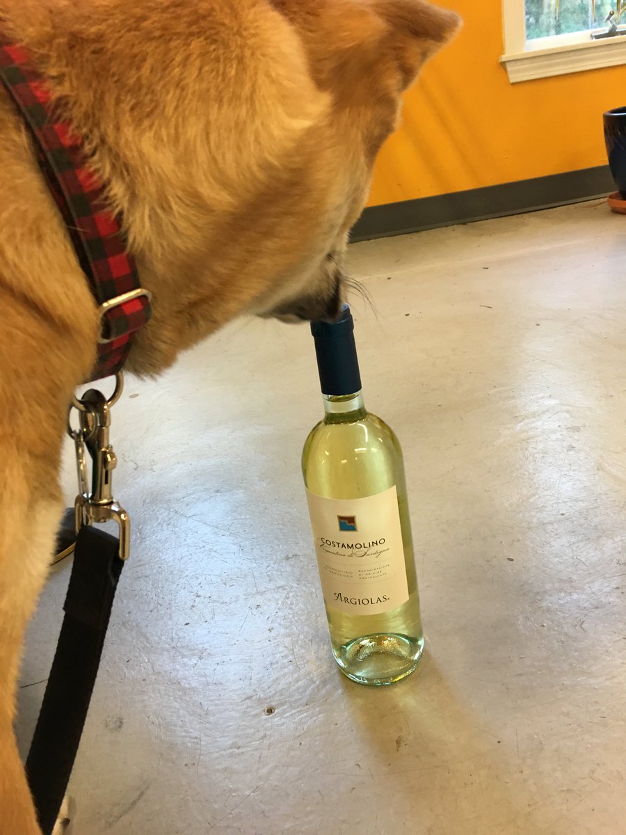 NDOWine's tweet photo. Crisp Whites was a 3 way tie! So we let Jace decide! The winner is @ArgiolasWinery Costamolino! Two chosen four to go! #customerfav #wine https://t.co/4z8LUK8kDa