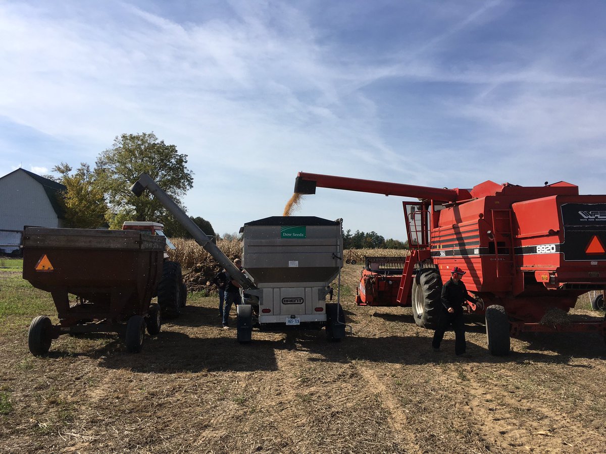 Back at it with another soy plot. 19RYS14 takes it again. This variety proves itself every year. #yieldisstillnumberonetrait <a href="/NorwichBranch/">Thompsons Norwich</a>
