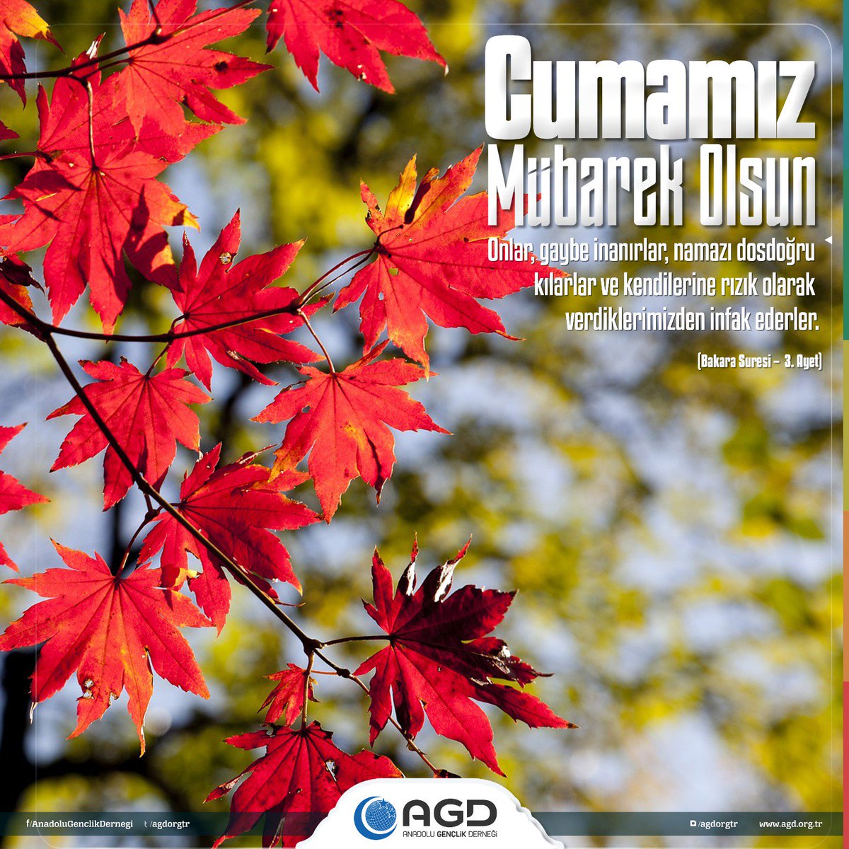 Cumamız Mübarek olsun

"Onlar, gaybe inanırlar, namazı dosdoğru kılarlar ve kendilerine verdiğimiz rızıklardan infak ederler."

(Bakara 3.)