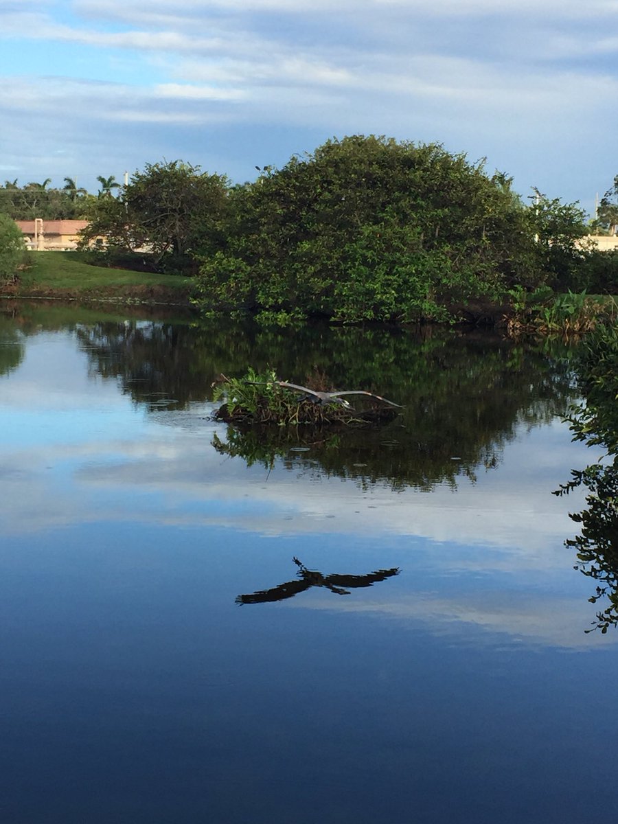 divakatana's tweet photo. Scenes from my morning stroll. I had never been able to get to S. Florida during the school year. #Retirement #MuchNeededR&R https://t.co/7QpwcvBhU3