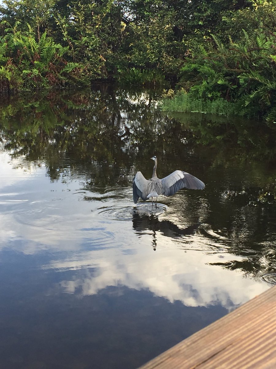 divakatana's tweet photo. Scenes from my morning stroll. I had never been able to get to S. Florida during the school year. #Retirement #MuchNeededR&R https://t.co/7QpwcvBhU3